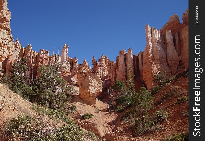 The picture taken from Peekaboo Trail in Bryce Canyon National Park. The picture taken from Peekaboo Trail in Bryce Canyon National Park