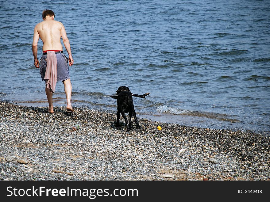 A man on a rocky beach with his dog. A man on a rocky beach with his dog.