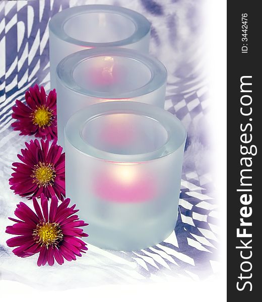 Image from christmas series: pink heaters and flowers