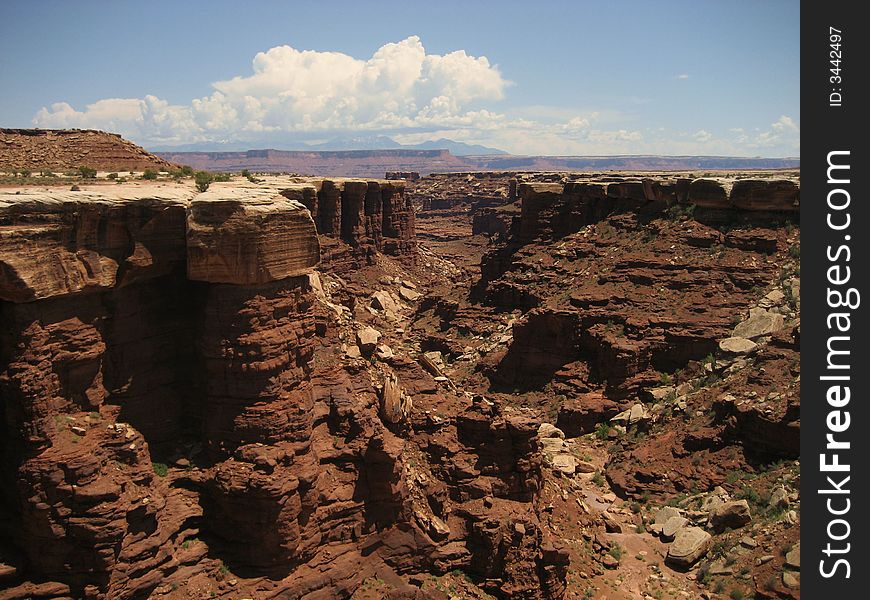 Buck Canyon is one of the many canyons in Canyonlands NP. Buck Canyon is one of the many canyons in Canyonlands NP