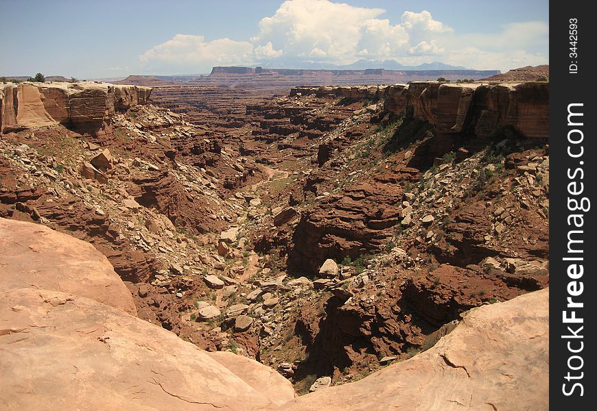 Buck Canyon In Canyonlands