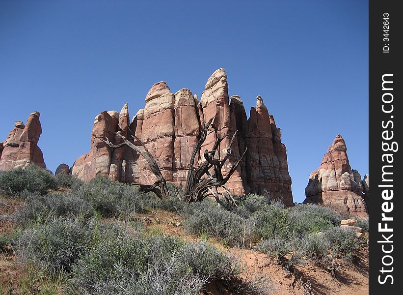 Chesler Park In Canyonlands