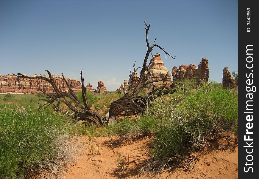 The picture taken on the hike to Chesler Park in the Needles District of Canyonlands NP. The picture taken on the hike to Chesler Park in the Needles District of Canyonlands NP