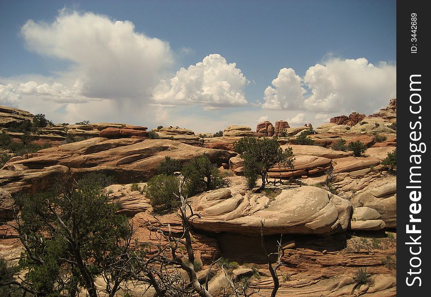 The picture of the rocks in the Needles District of Canyonlands NP. The picture of the rocks in the Needles District of Canyonlands NP