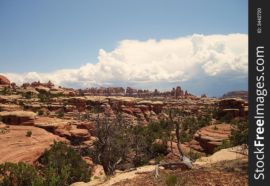 Canyonlands - The Needles