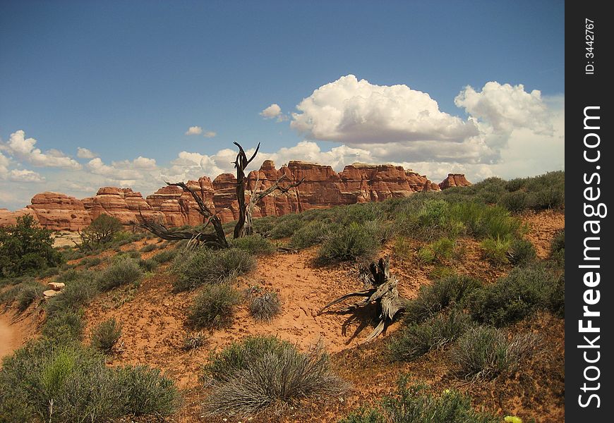 Chesler Park is the popular destination in Canyonlands NP. Chesler Park is the popular destination in Canyonlands NP