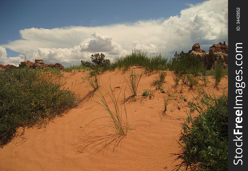 Chesler Park is located in the Needles District of Canyonlands NP. Chesler Park is located in the Needles District of Canyonlands NP