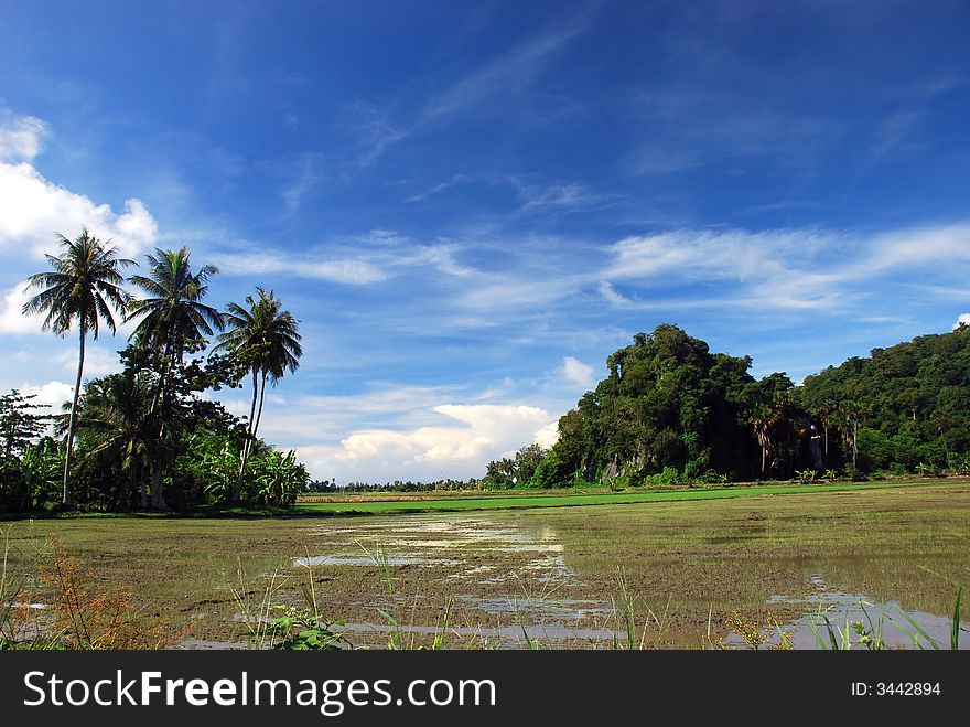 Beautiful focus a mountain views at pahang, malaysian