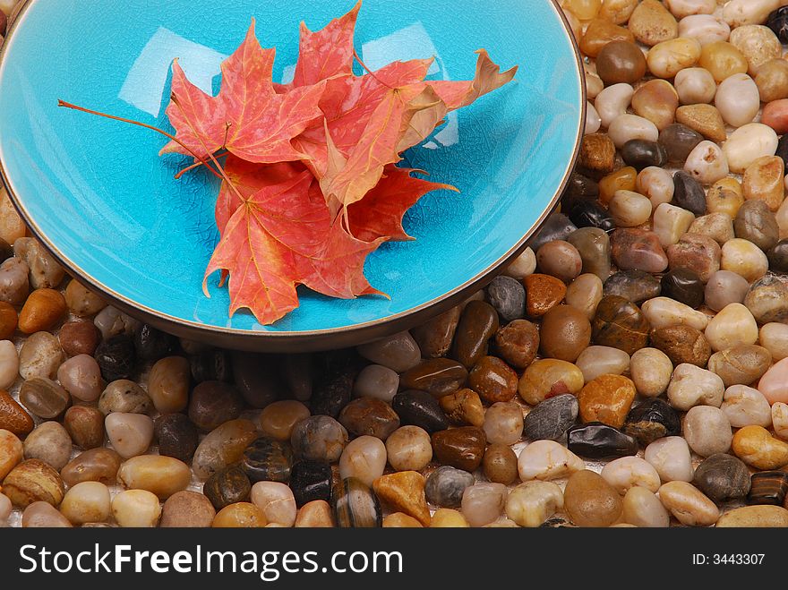 Leaves In Blue Bowl