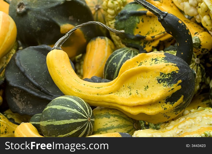 Basket of differetn colored gourds