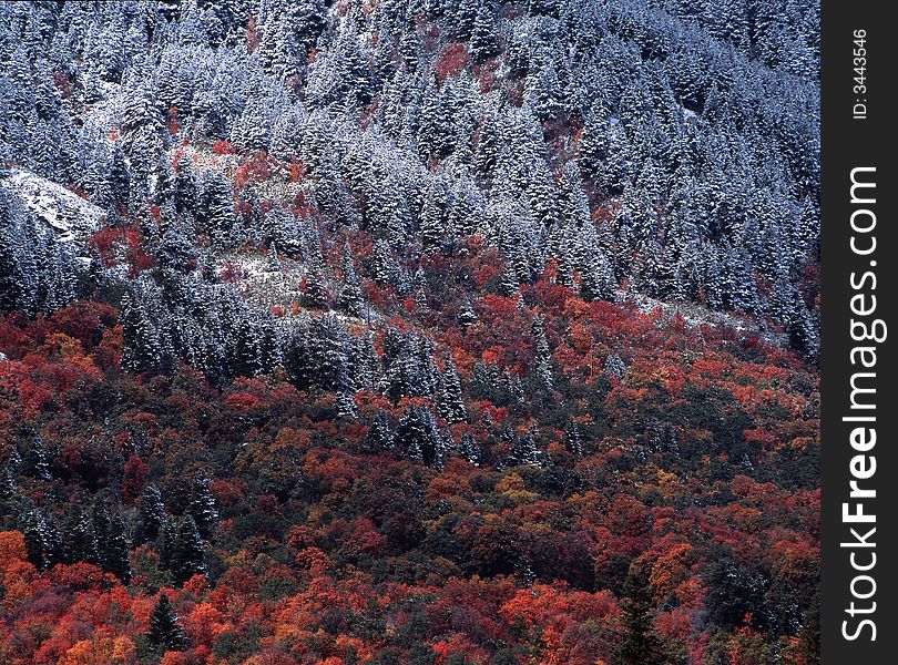 First dusting of snow in northern Utah. First dusting of snow in northern Utah