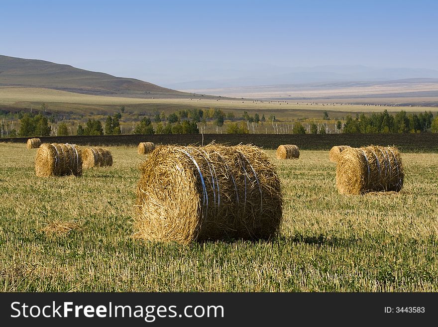 The hay bale in Inner Mongolia grassland in autumn season.