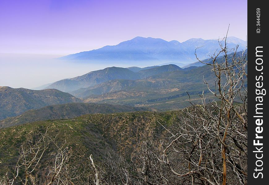 Purple sky and clouds over mountains and trees. Purple sky and clouds over mountains and trees