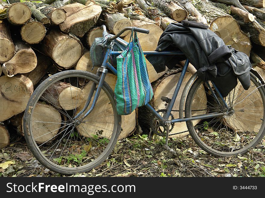 Bicycle on a background of the cut off trees