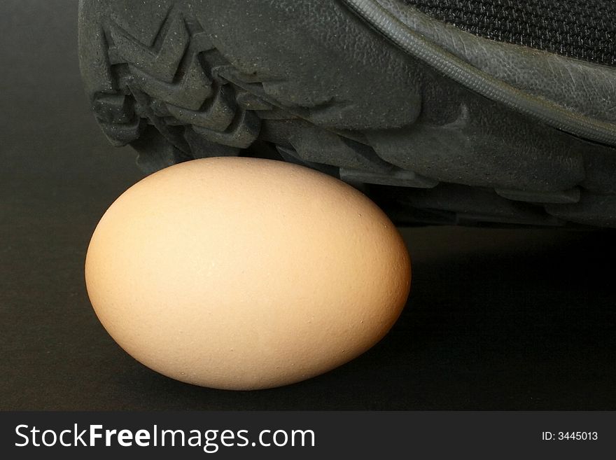 Shoe On A Egg
