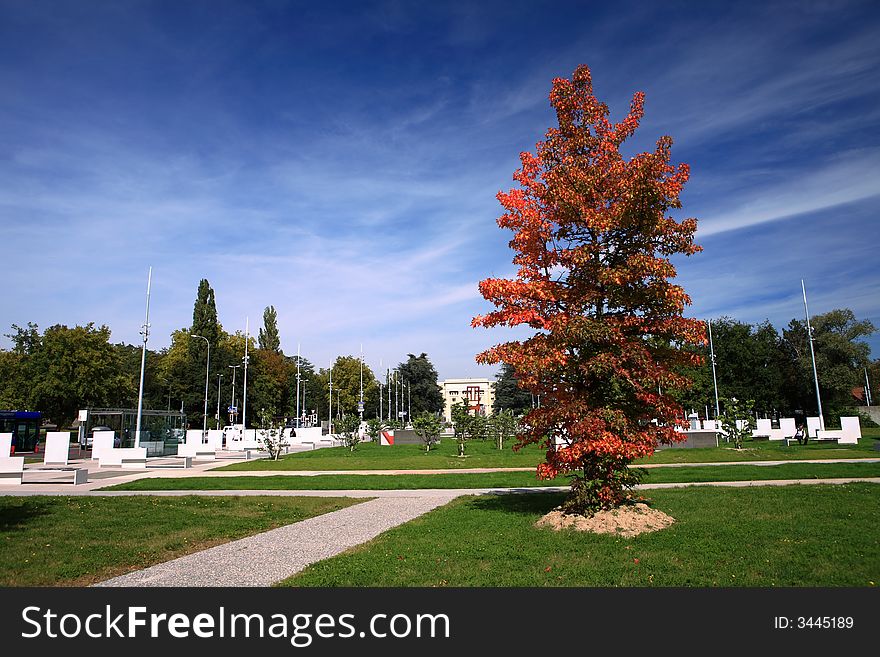 The red tree and the backgrounds in Geneva forms a peaceful autumn senery.