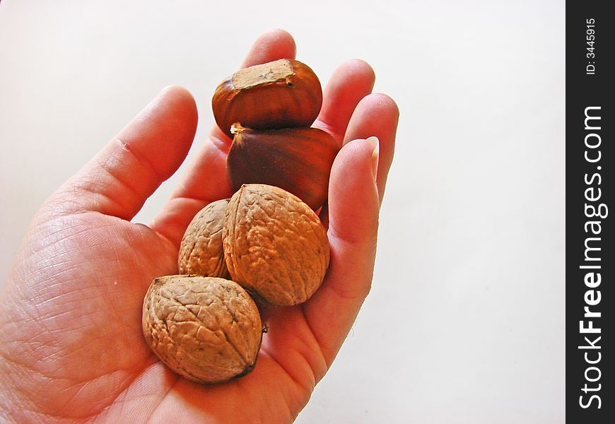 Hand nuts e Chestnut on white background