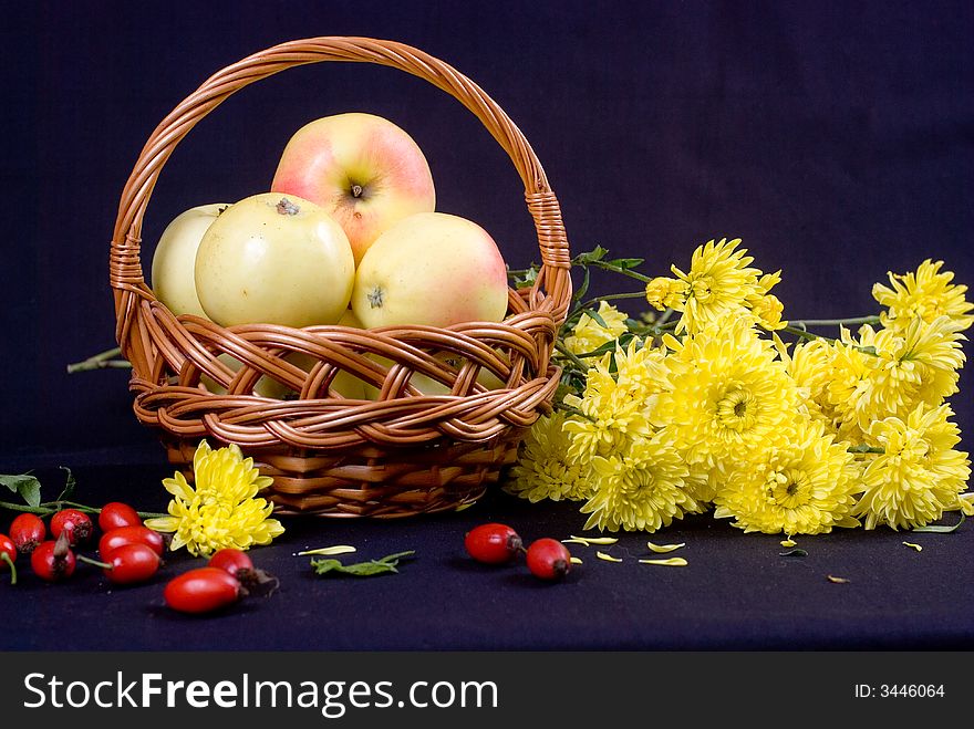 Apples still life isolated on black; some apples in the brown wicker basket. Apples still life isolated on black; some apples in the brown wicker basket