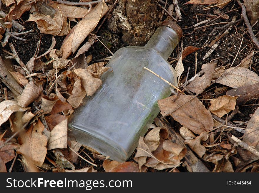 Bottle laying on the ground amix leaves. Bottle laying on the ground amix leaves.