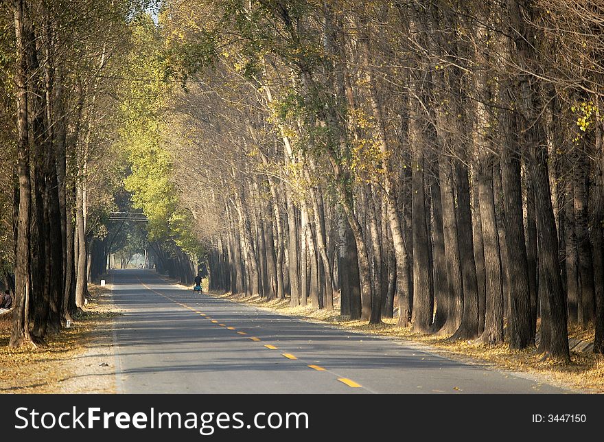 A peaceful country road in autumn. shot at suburb Beijing.