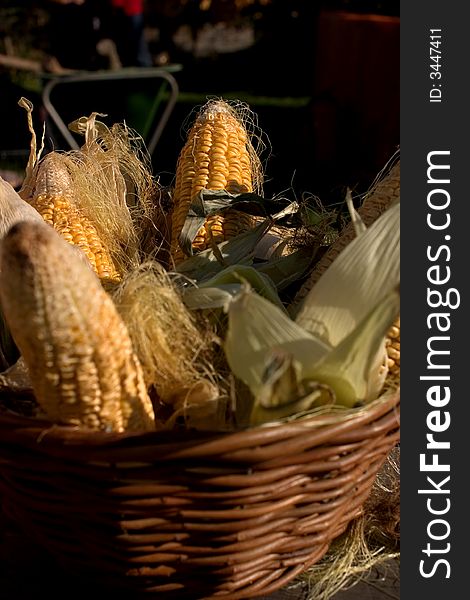 Corn In A Basket