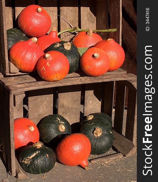 Green and orange gourds on display