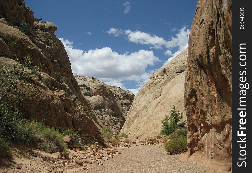 Capitol Gorge is located in Capitol Reef NP.