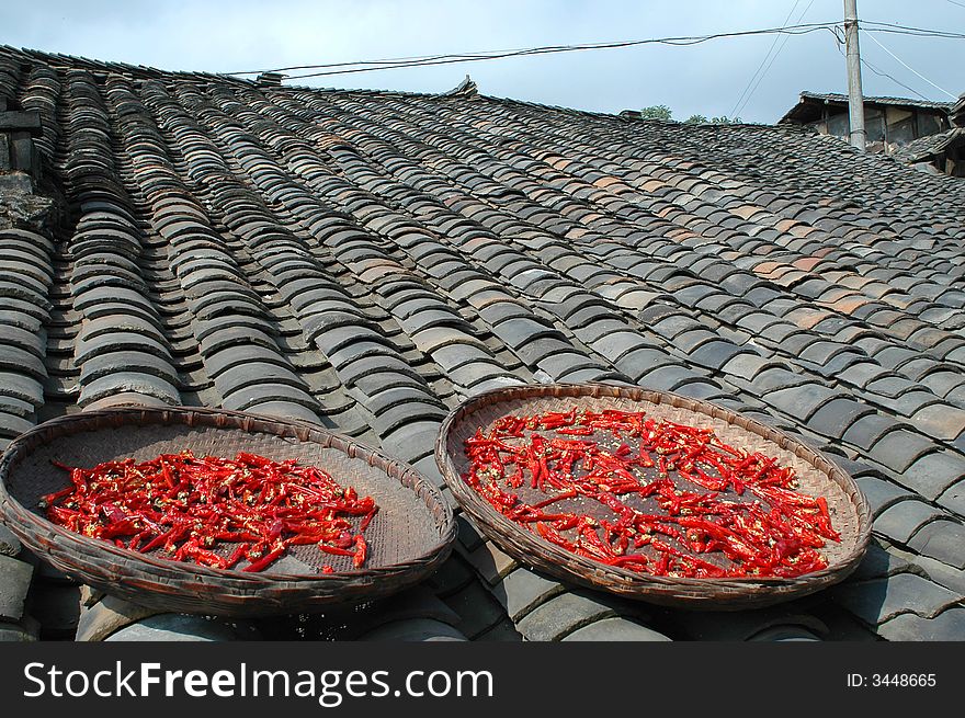 Red capsicums on the roof.Shaanxi,China.