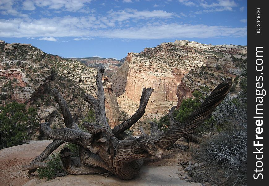 This picture was taken on Golden Throne Trail in Capitol Reef National Park