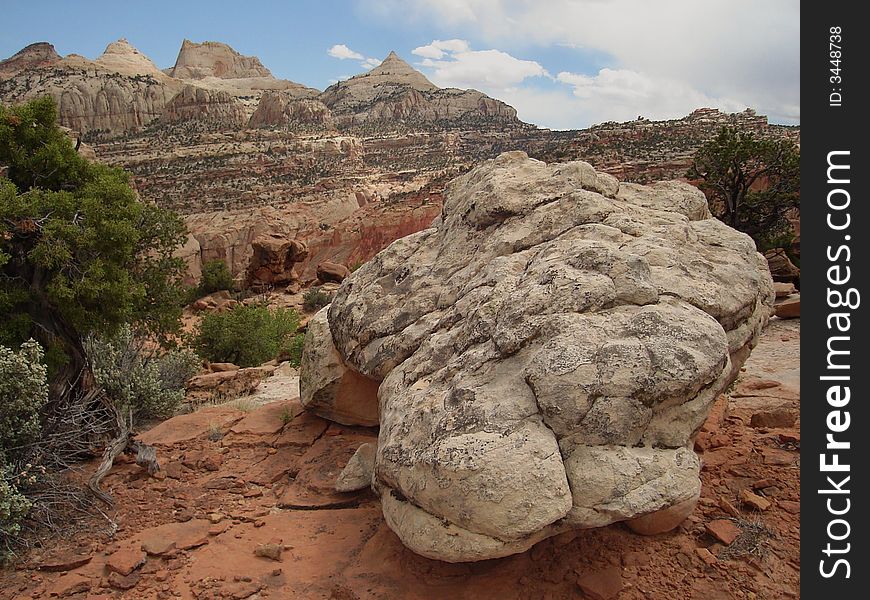 The picture taken on Cassidy Arch trail in Capitol Reef NP.
