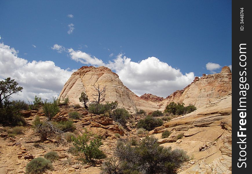 Capitol Gorge Trail is the popular hike in Capitol Reef NP.