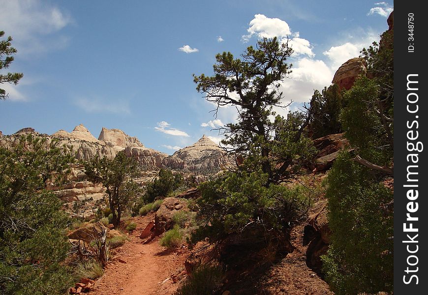 Cassidy Arch Trail is a strenous hike in Capitol Reef National Park