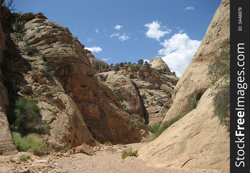 Capitol Gorge is one of the popular places in Capitol Reef NP.