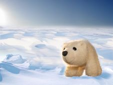 Toy Polar Bear Cub In Arctic Stock Photography
