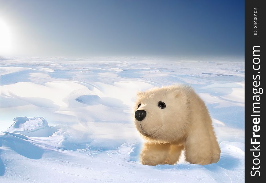 Toy polar bear cub in Arctic