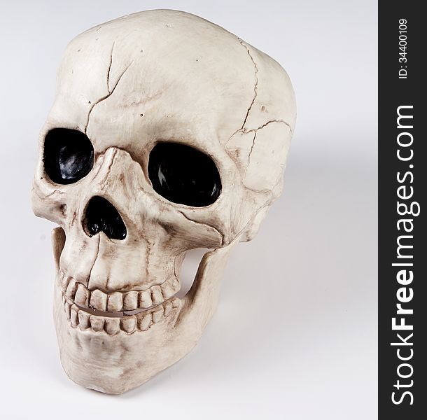 A replica of a human skull
