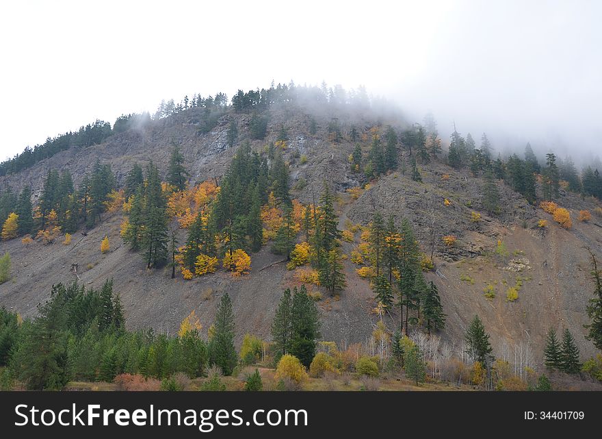 Mountain and trees on misty autumn morning. Mountain and trees on misty autumn morning