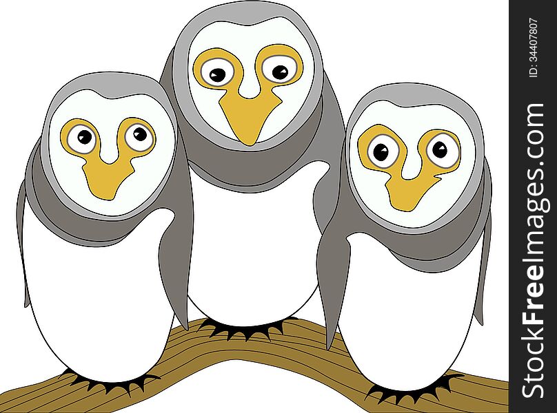 Funny Owl Family