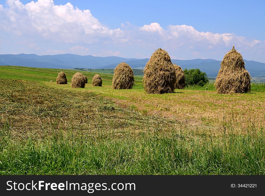 Located in the heart of Moldavia, this photo shows the way countrymen work their hayfield, in the gorgeous natural landscape, in a land beyond time and modern technology. Located in the heart of Moldavia, this photo shows the way countrymen work their hayfield, in the gorgeous natural landscape, in a land beyond time and modern technology.