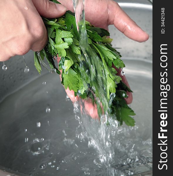 Wash of fresh green parsley leaves