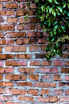 Texture And Background (brick Wall) Stock Photos