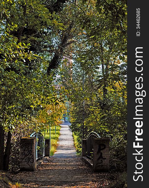 Bridge In Autumn Park