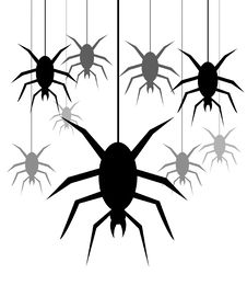 Spiders Hanging On A Web Stock Image