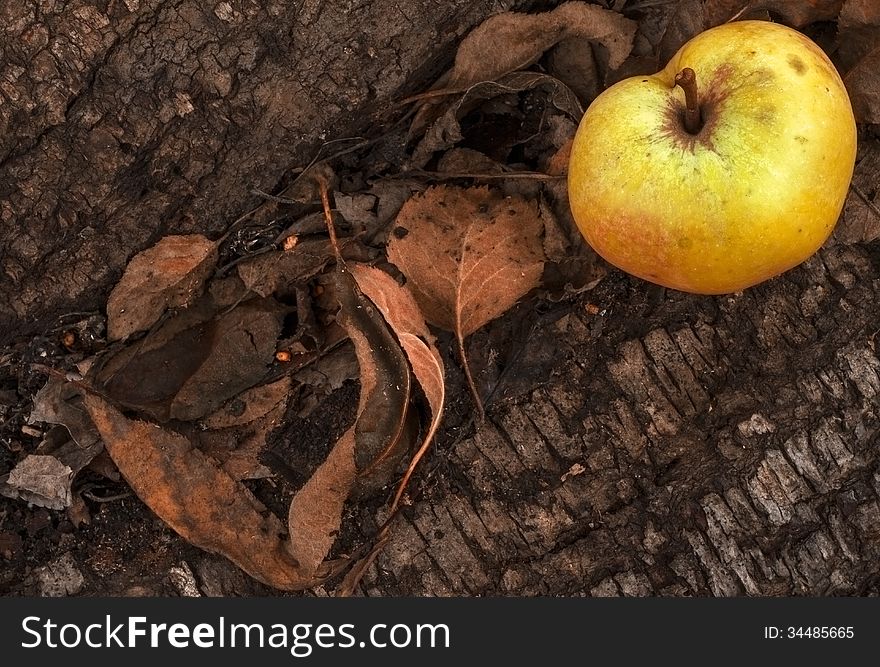 Close up of an apple on autumn background