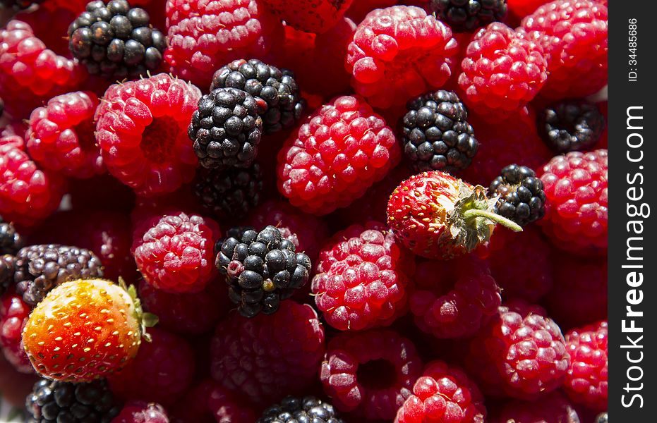 Different Forest Fruits