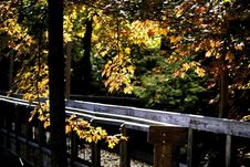 Board Walk In Autumn Stock Photography Board Walk In Autumn Stock Photography
