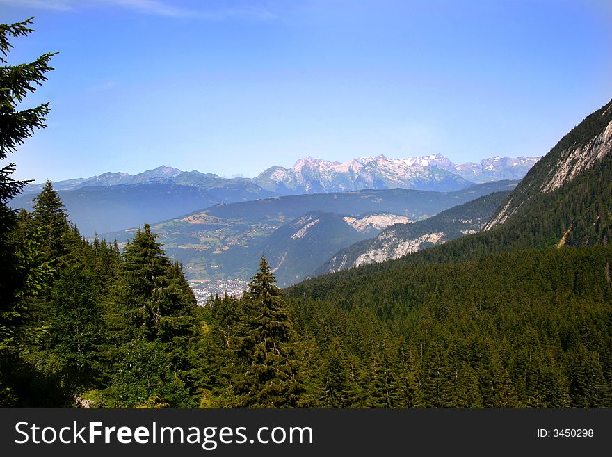View of the mountains and pine trees in the french alps