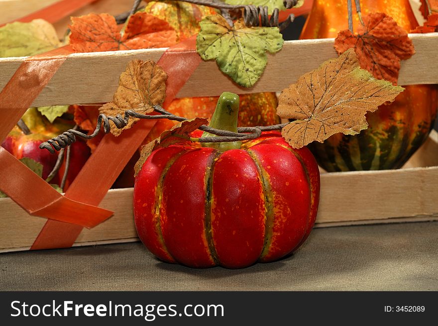 Photo of Fall / Autumn Related Items - Gord - Pumpkin