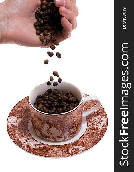Woman's hand dropping coffee beans into cup. Woman's hand dropping coffee beans into cup