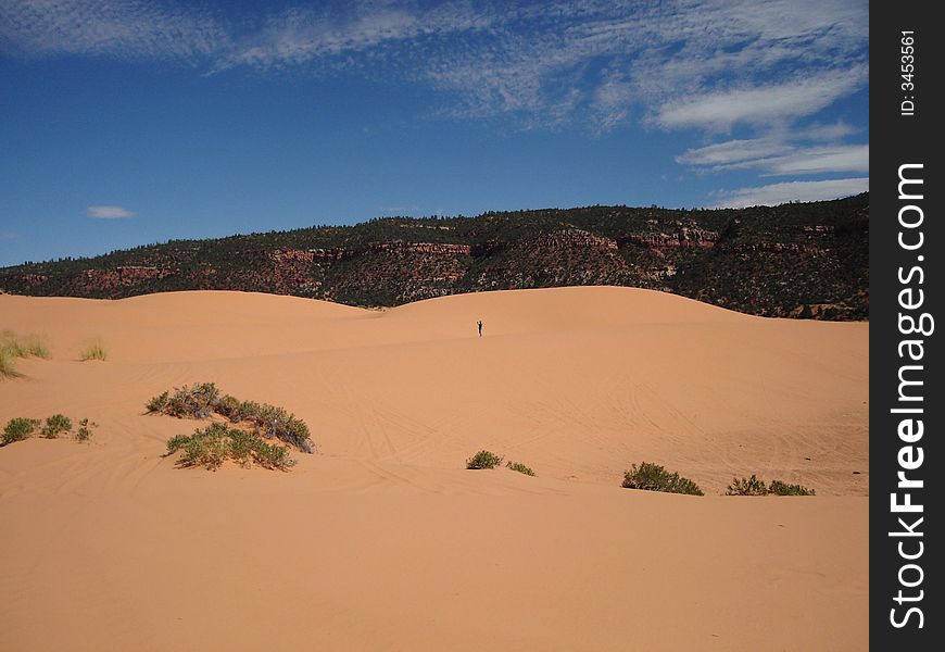 Coral Pink Sand Dunes